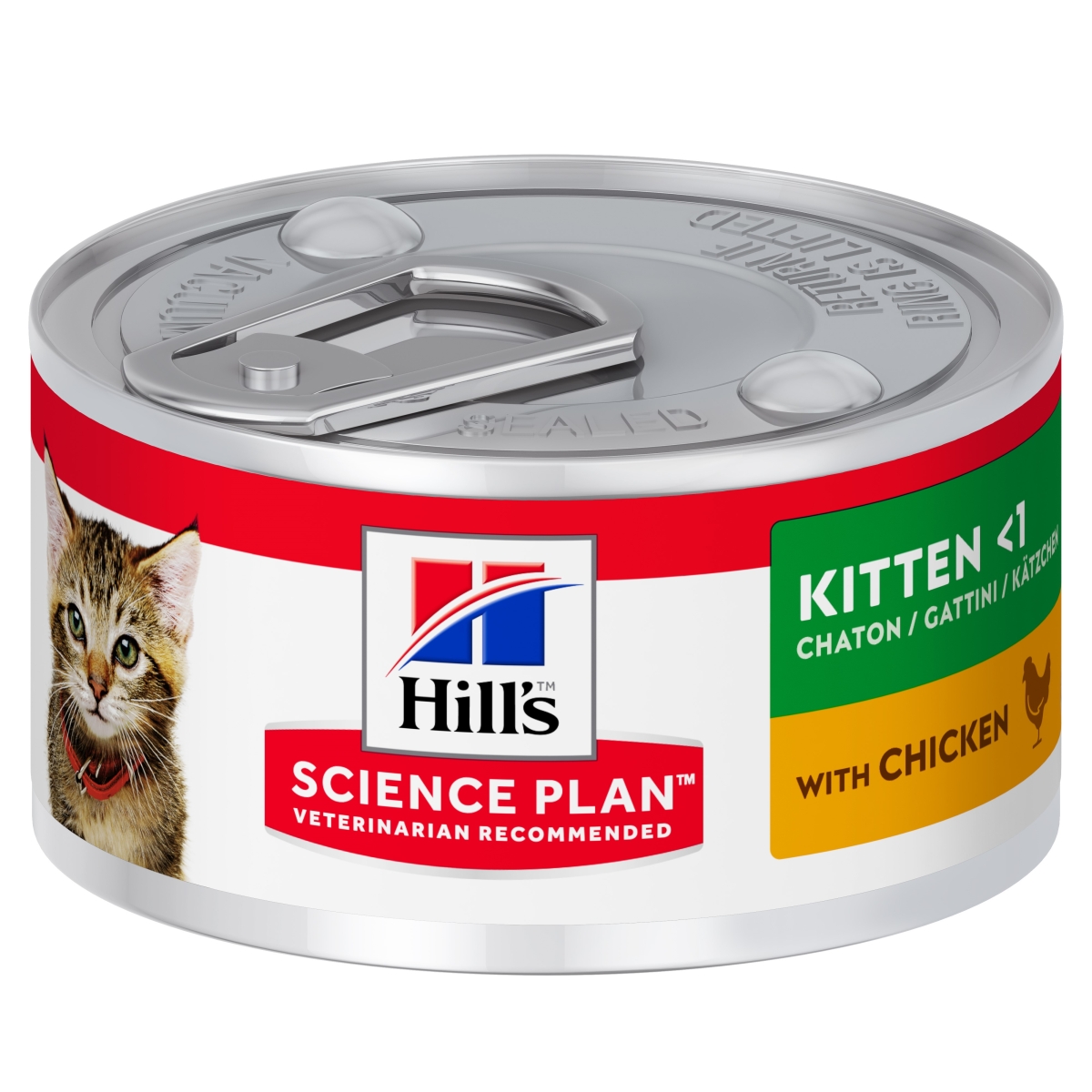 Hill's feline clearance kitten