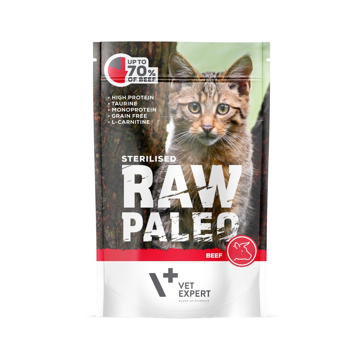 Raw Paleo Sterilized Cat guliašas steril. katėms su jautiena, 100 g - 