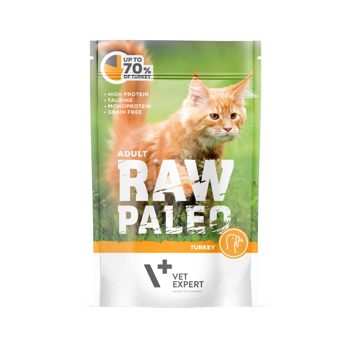 Raw Paleo Adult Cat guliašas katėms su kalakutiena, 100 g - 