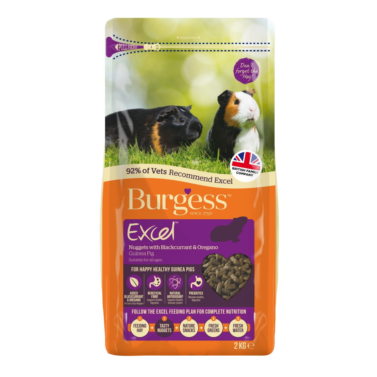 Burgess Excel maistas suaugusioms jūrų kiaulytėms, 2 kg - 