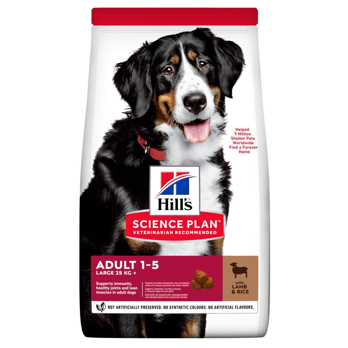 Hill´s Science Plan Adult Large Breed maistas su ėriena, 14kg -  1