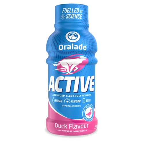 Oralade Active antienos skonio gėrimas šunims, 250 ml