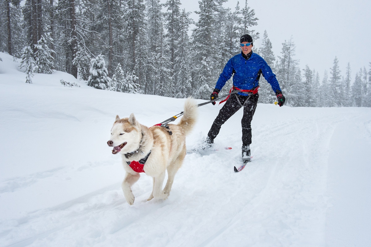 Ruffwear Omnijore joringo sistema šeimininkui ir šuniui, M -  4