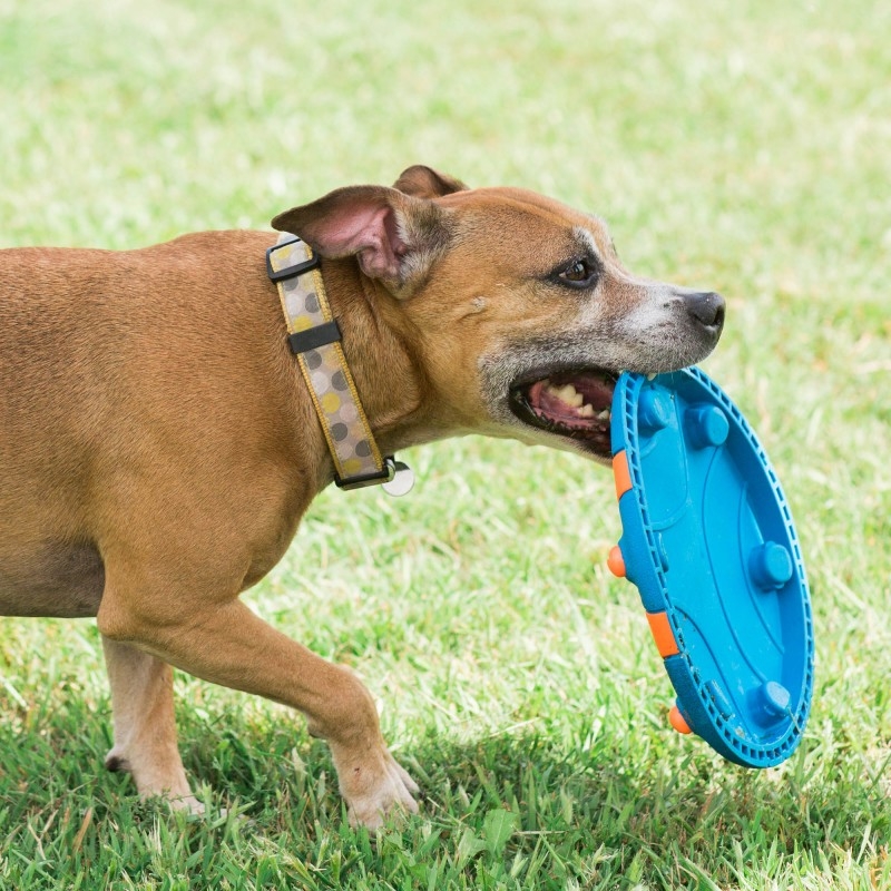 Chuckit Whistle Flight frisbee lėkštė- žaislas šunims -  3