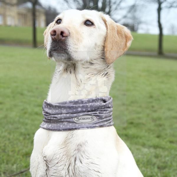 Scruffs Insect Shield Doggy Snood kaklo mova šunims nuo vabzdžių, S -  2