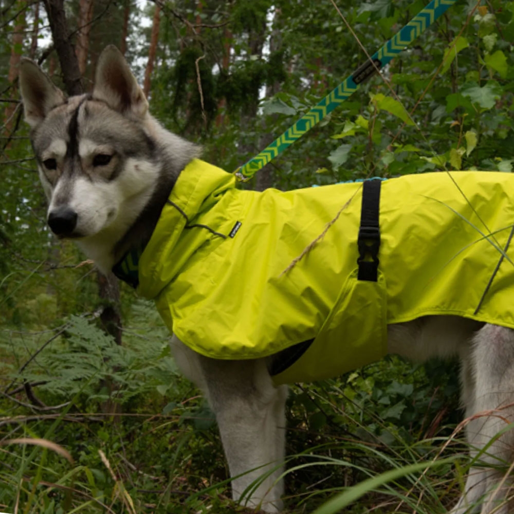 Icepeak Strike lietpaltis šunims, XL dydžio, ryškiai žalias -  4