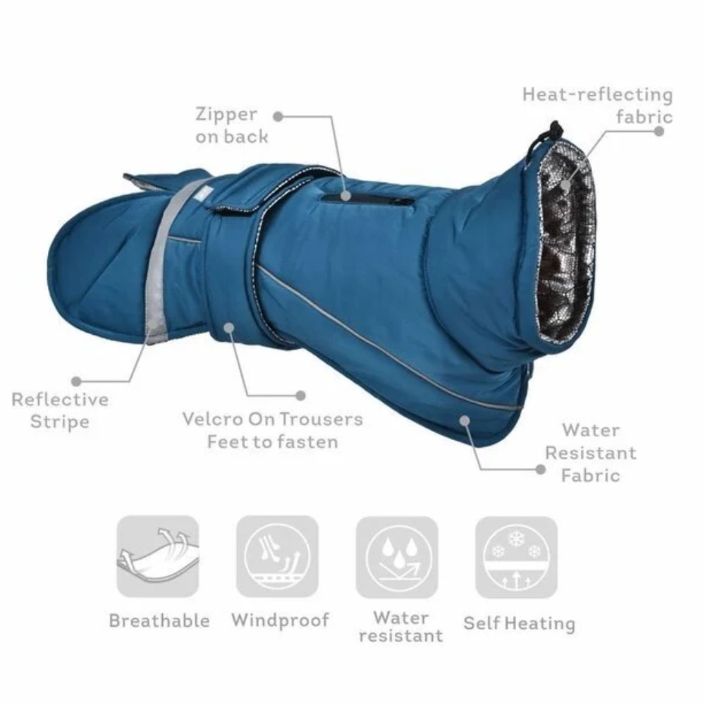 Ohana Windproof Eco vėjui atspari striukė šunims, M dydis, mėlyna -  3