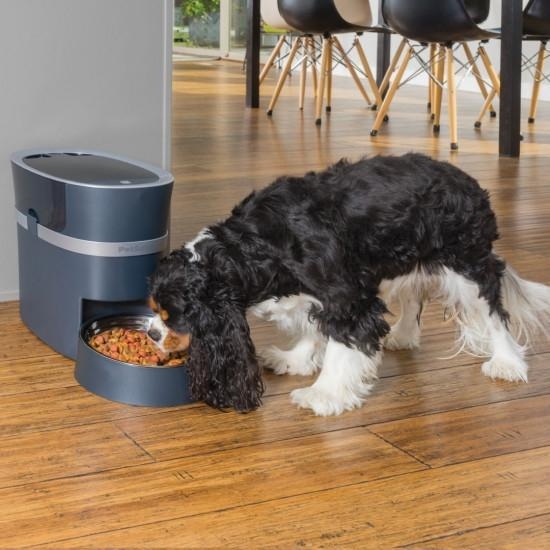 PetSafe Smart Feed Automatic Pet Feeder automatinė maitinimo sistema -  3