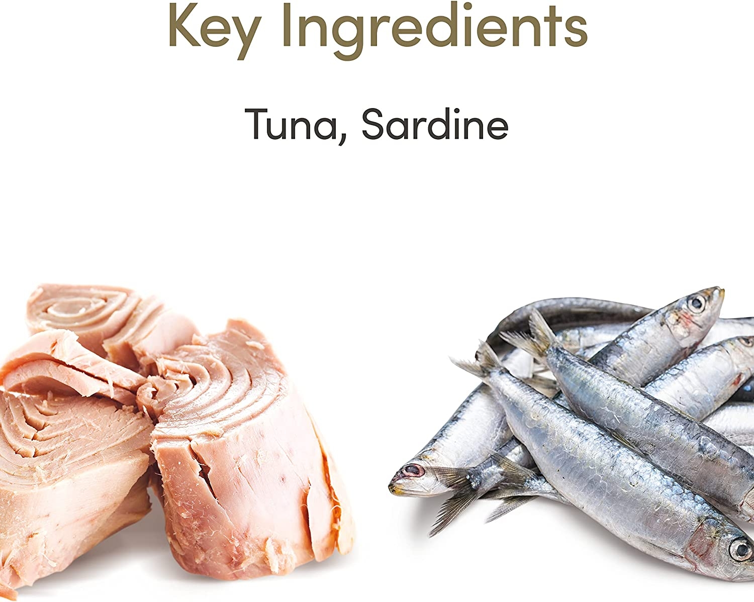 Applaws konservai katėms senjorėms su tunu ir sardine, 70 g -  3