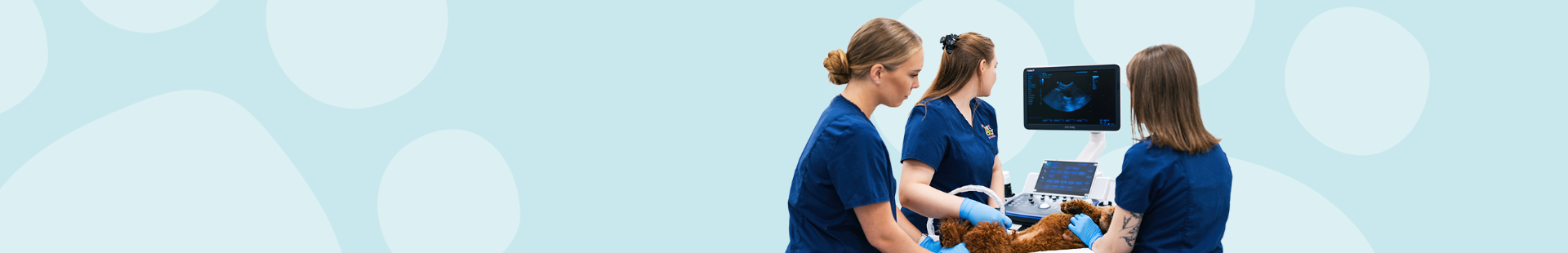 PetCity veterinarijos klinikų paslaugų kainos